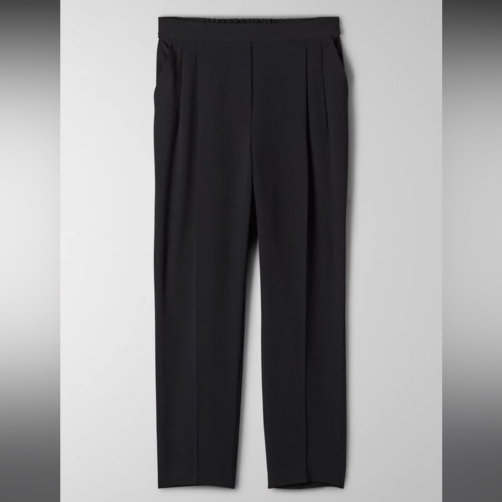 Aritzia Babaton Cohen Pant